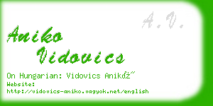 aniko vidovics business card